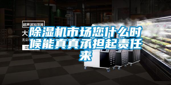 除濕機(jī)市場(chǎng)您什么時(shí)候能真真承擔(dān)起責(zé)任來