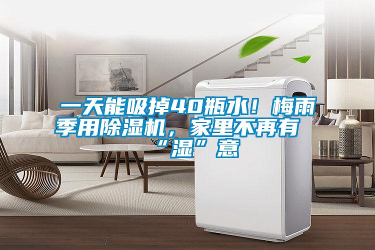 一天能吸掉40瓶水！梅雨季用除濕機(jī)，家里不再有“濕”意