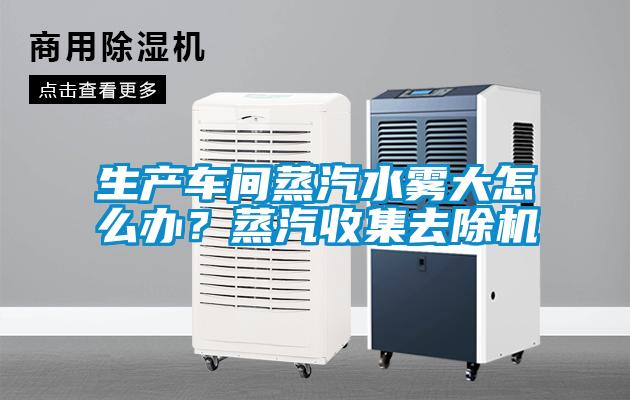 生產(chǎn)車間蒸汽水霧大怎么辦？蒸汽收集去除機(jī)
