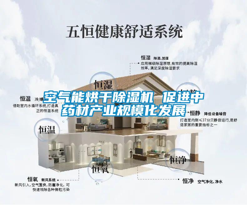 空氣能烘干除濕機 促進中藥材產(chǎn)業(yè)規(guī)?；l(fā)展
