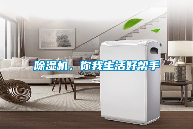 除濕機，你我生活好幫手