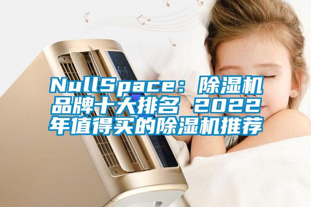 NullSpace：除濕機(jī)品牌十大排名 2022年值得買(mǎi)的除濕機(jī)推薦