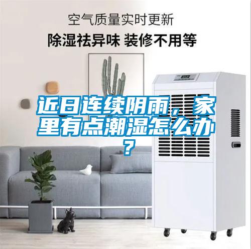 近日連續(xù)陰雨，家里有點(diǎn)潮濕怎么辦？