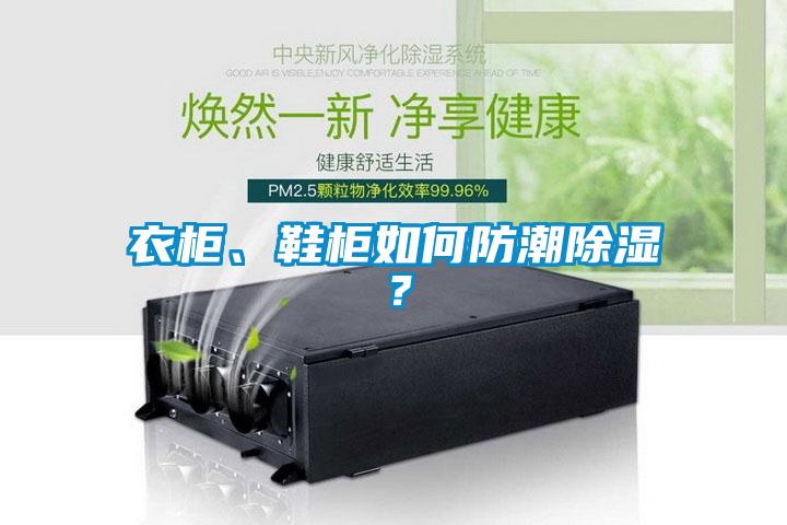 衣柜、鞋柜如何防潮除濕？