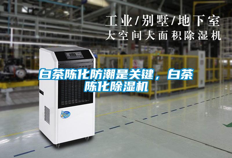 白茶陳化防潮是關(guān)鍵，白茶陳化除濕機(jī)