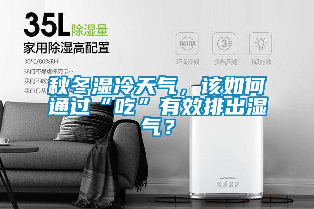 秋冬濕冷天氣，該如何通過“吃”有效排出濕氣？