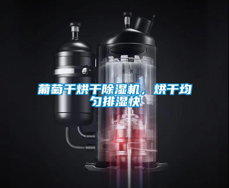 葡萄干烘干除濕機(jī)，烘干均勻排濕快