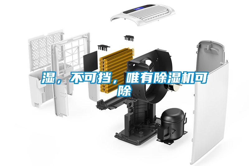 濕，不可擋，唯有除濕機(jī)可除