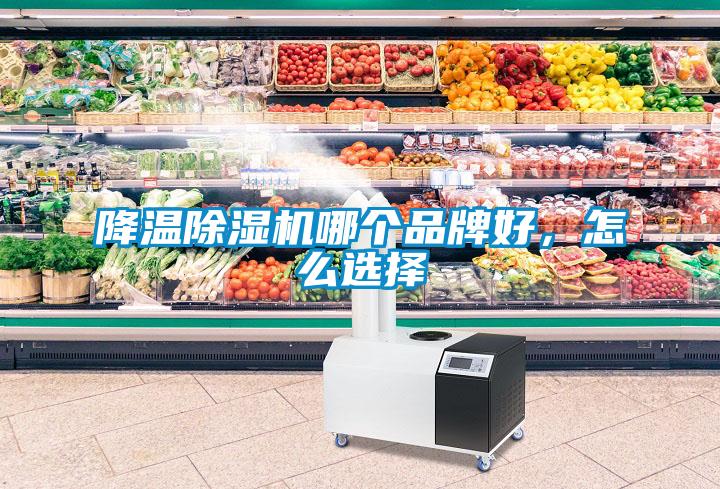 降溫除濕機哪個品牌好，怎么選擇