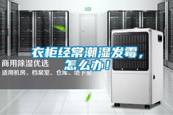 衣柜經(jīng)常潮濕發(fā)霉，怎么辦！