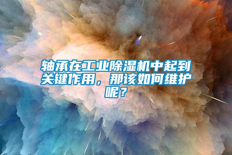 軸承在工業(yè)除濕機中起到關(guān)鍵作用，那該如何維護呢？