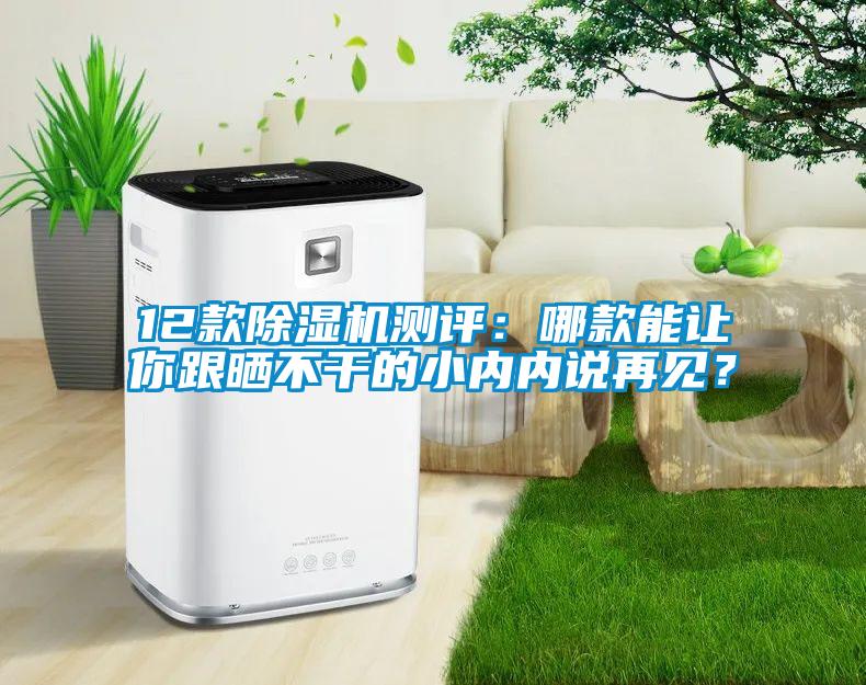 12款除濕機(jī)測評：哪款能讓你跟曬不干的小內(nèi)內(nèi)說再見？