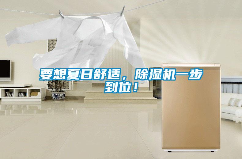 要想夏日舒適，除濕機(jī)一步到位！