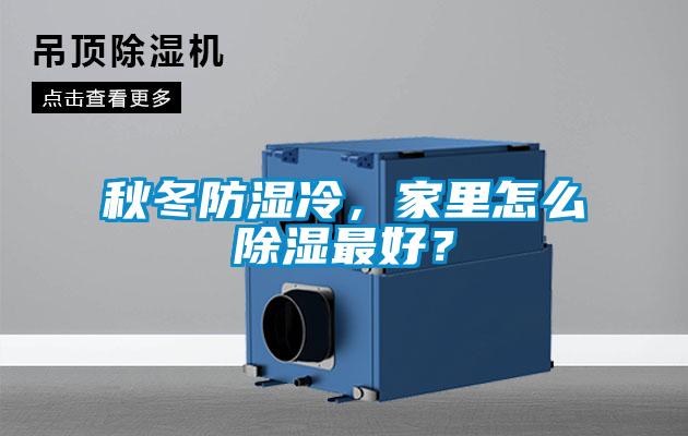 秋冬防濕冷，家里怎么除濕最好？