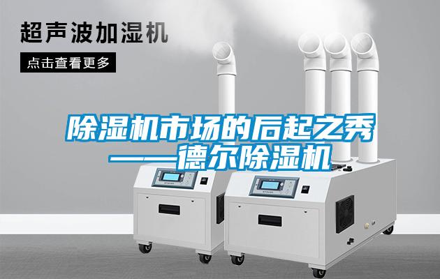 除濕機(jī)市場(chǎng)的后起之秀——德爾除濕機(jī)