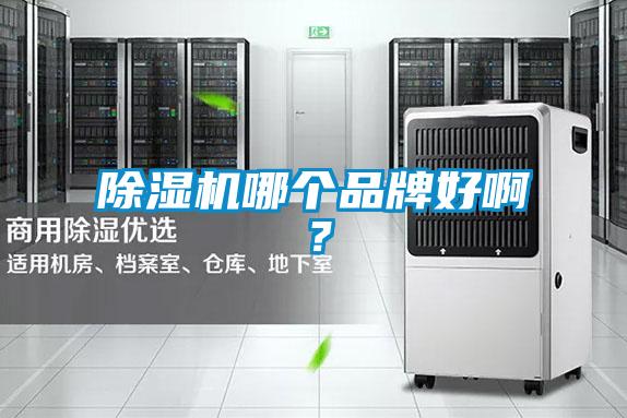 除濕機(jī)哪個(gè)品牌好啊？