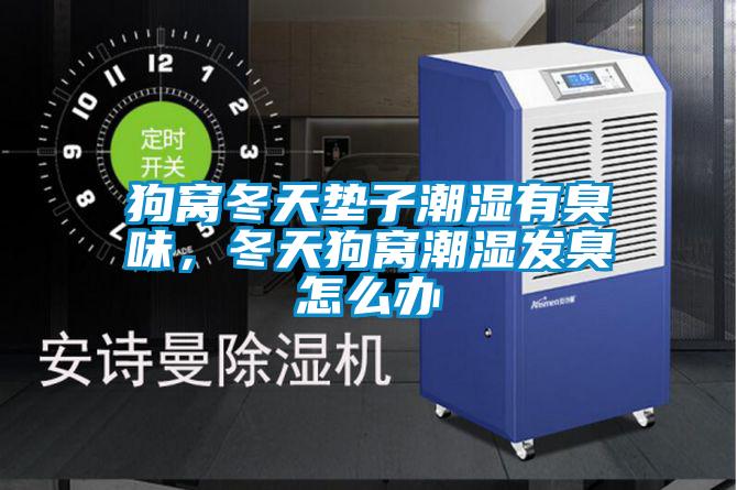 狗窩冬天墊子潮濕有臭味，冬天狗窩潮濕發(fā)臭怎么辦