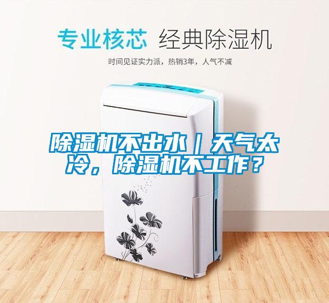 除濕機不出水｜天氣太冷，除濕機不工作？