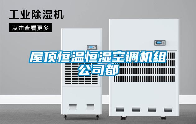屋頂恒溫恒濕空調(diào)機組公司都