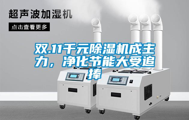 雙.11千元除濕機(jī)成主力，凈化節(jié)能大受追捧