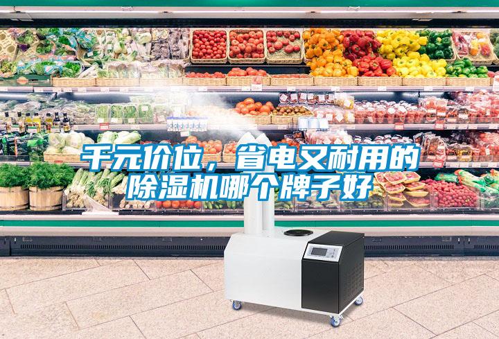 千元價位，省電又耐用的除濕機哪個牌子好