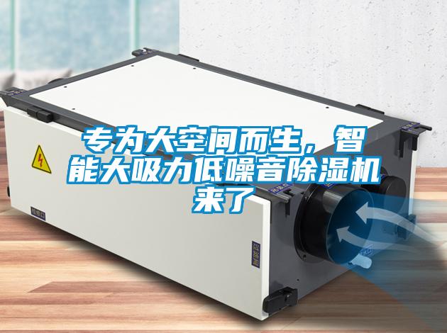 專為大空間而生，智能大吸力低噪音除濕機(jī)來了