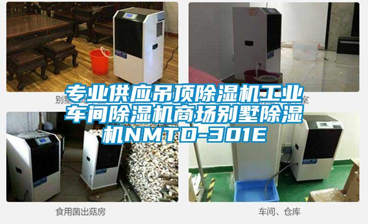 專業(yè)供應(yīng)吊頂除濕機(jī)工業(yè)車間除濕機(jī)商場(chǎng)別墅除濕機(jī)NMTD-301E
