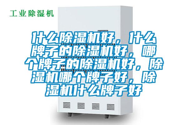 什么除濕機(jī)好，什么牌子的除濕機(jī)好，哪個(gè)牌子的除濕機(jī)好，除濕機(jī)哪個(gè)牌子好，除濕機(jī)什么牌子好
