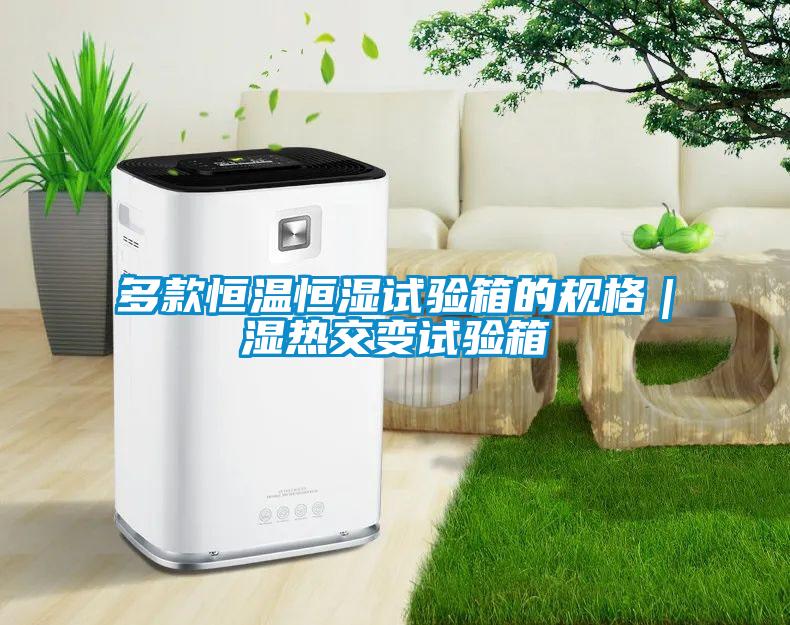 多款恒溫恒濕試驗箱的規(guī)格｜濕熱交變試驗箱