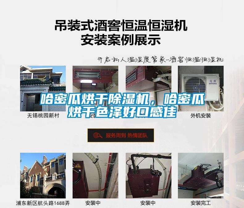哈密瓜烘干除濕機(jī)，哈密瓜烘干色澤好口感佳
