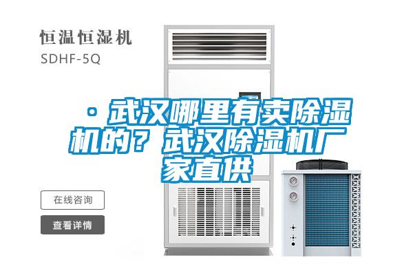 ·武漢哪里有賣除濕機(jī)的？武漢除濕機(jī)廠家直供