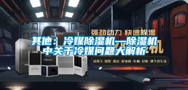 其他：冷媒除濕機—除濕機中關(guān)于冷媒問題大解析