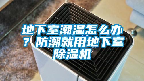 地下室潮濕怎么辦？防潮就用地下室除濕機(jī)