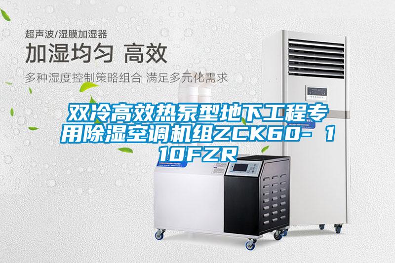 雙冷高效熱泵型地下工程專用除濕空調機組ZCK60- 110FZR
