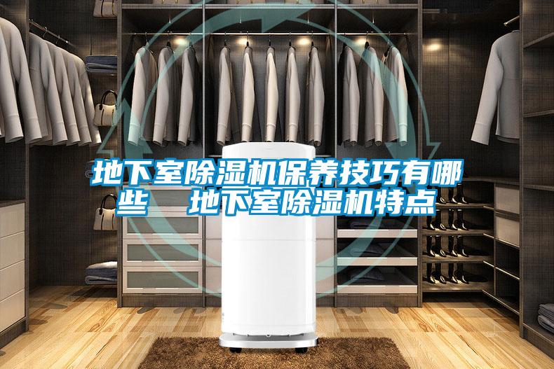 地下室除濕機(jī)保養(yǎng)技巧有哪些  地下室除濕機(jī)特點(diǎn)