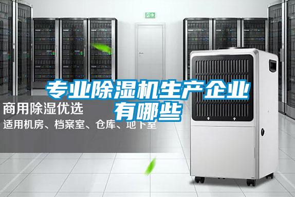 專(zhuān)業(yè)除濕機(jī)生產(chǎn)企業(yè)有哪些
