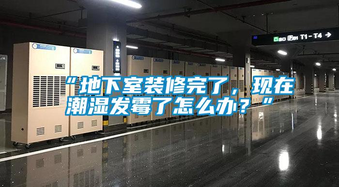 “地下室裝修完了，現(xiàn)在潮濕發(fā)霉了怎么辦？”
