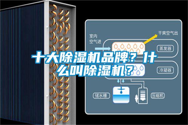 十大除濕機品牌？什么叫除濕機？