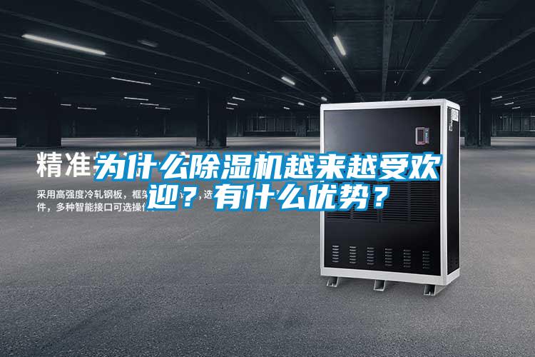 為什么除濕機(jī)越來(lái)越受歡迎？有什么優(yōu)勢(shì)？