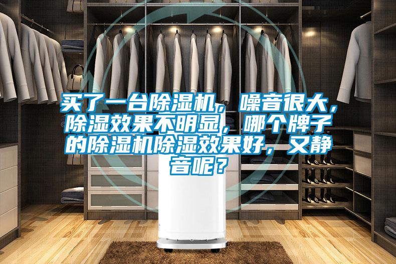 買了一臺除濕機，噪音很大，除濕效果不明顯，哪個牌子的除濕機除濕效果好，又靜音呢？