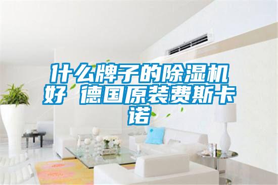 什么牌子的除濕機(jī)好 德國(guó)原裝費(fèi)斯卡諾