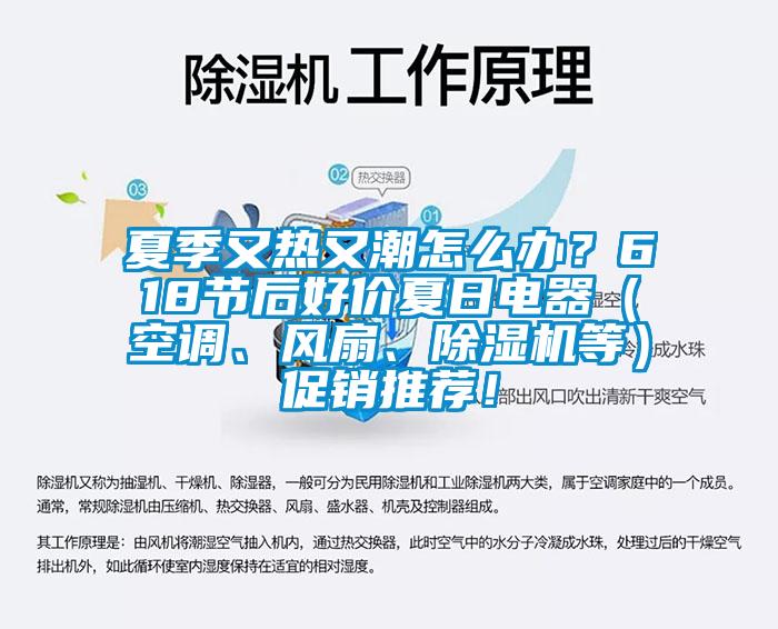 夏季又熱又潮怎么辦？618節(jié)后好價(jià)夏日電器（空調(diào)、風(fēng)扇、除濕機(jī)等）促銷推薦！
