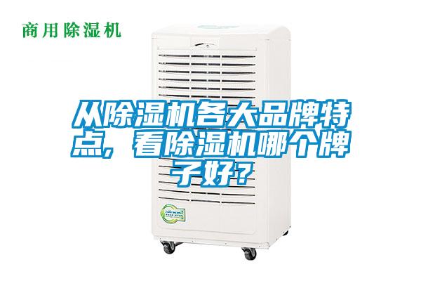 從除濕機(jī)各大品牌特點(diǎn), 看除濕機(jī)哪個(gè)牌子好？