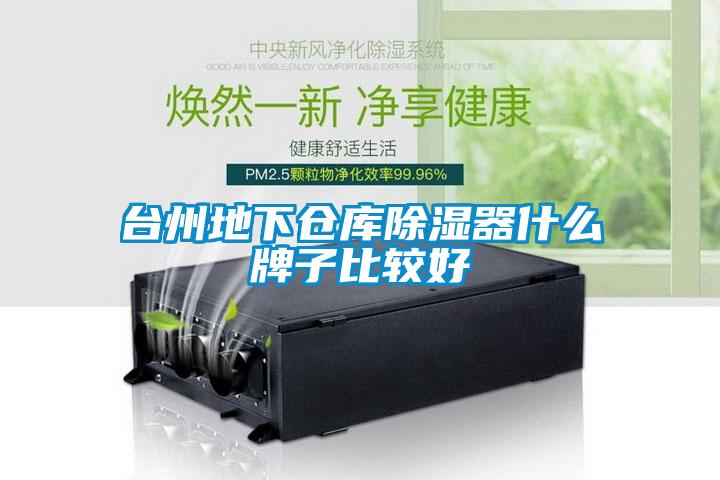 臺(tái)州地下倉庫除濕器什么牌子比較好