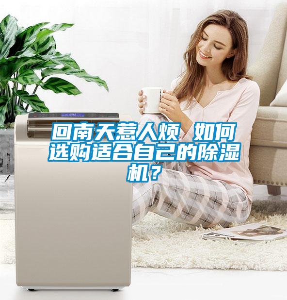 回南天惹人煩 如何選購(gòu)適合自己的除濕機(jī)？