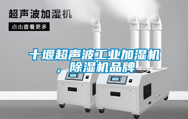十堰超聲波工業(yè)加濕機，除濕機品牌
