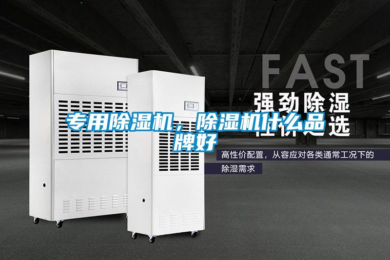 專(zhuān)用除濕機(jī)，除濕機(jī)什么品牌好