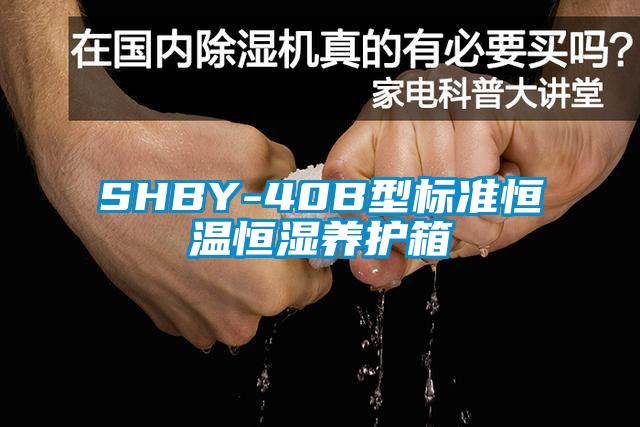 SHBY-40B型標(biāo)準(zhǔn)恒溫恒濕養(yǎng)護箱