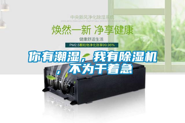 你有潮濕，我有除濕機(jī)，不為干著急