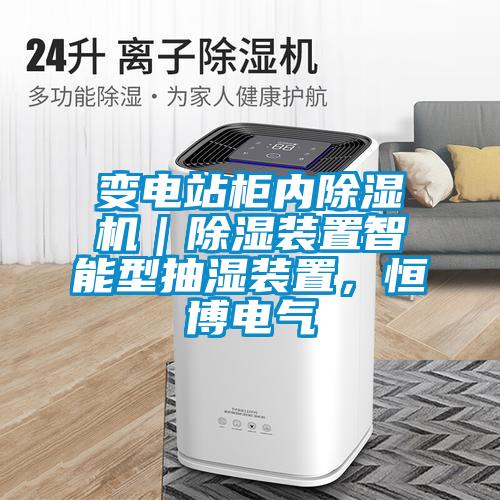 變電站柜內(nèi)除濕機(jī)｜除濕裝置智能型抽濕裝置，恒博電氣